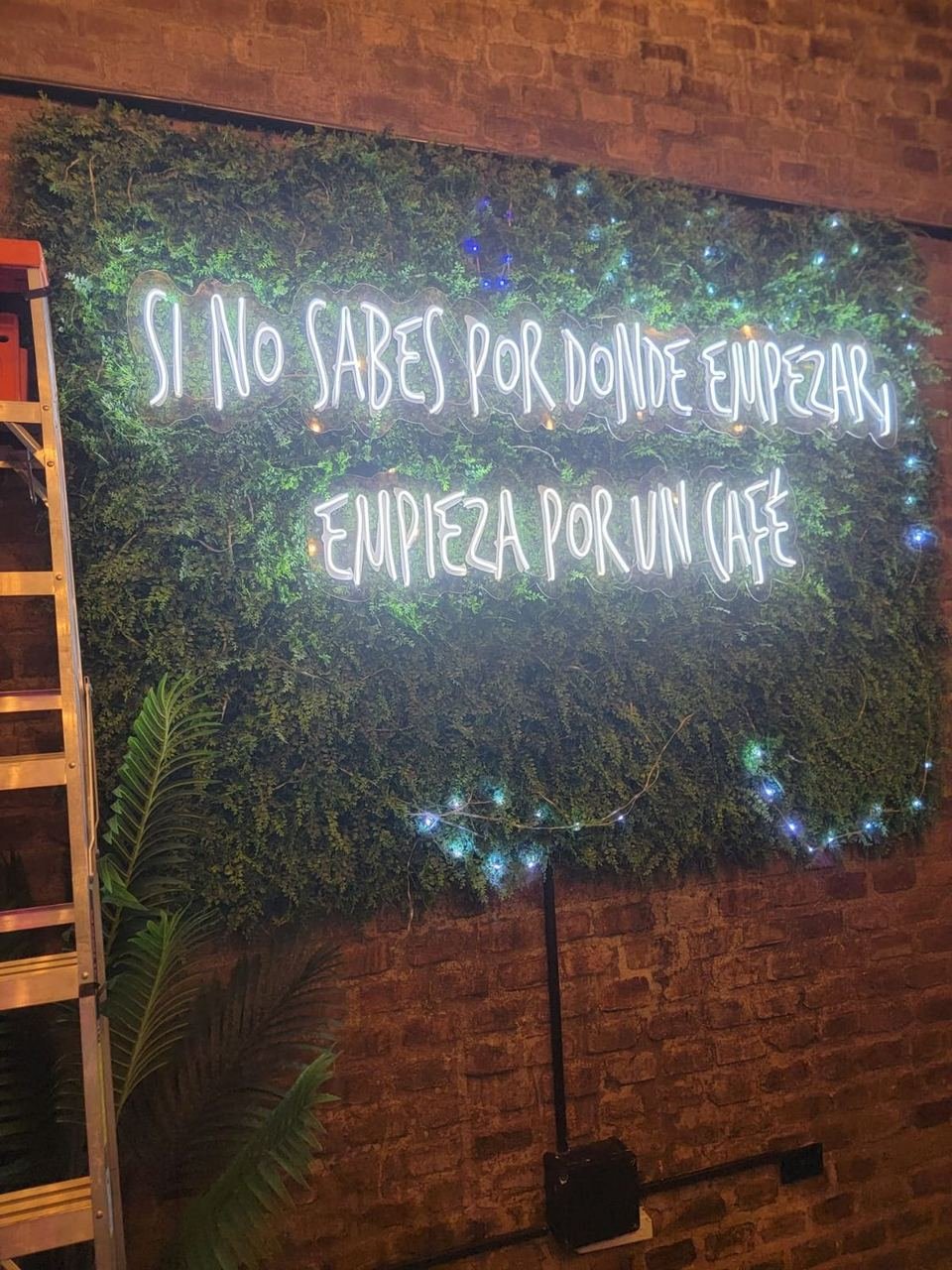 Neón LED blanco sobre muro verde en cafetería